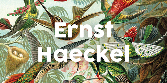 Ernst Haeckel